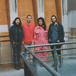 Picture of Hooded Fang