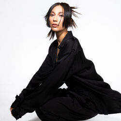 Picture of Tei Shi