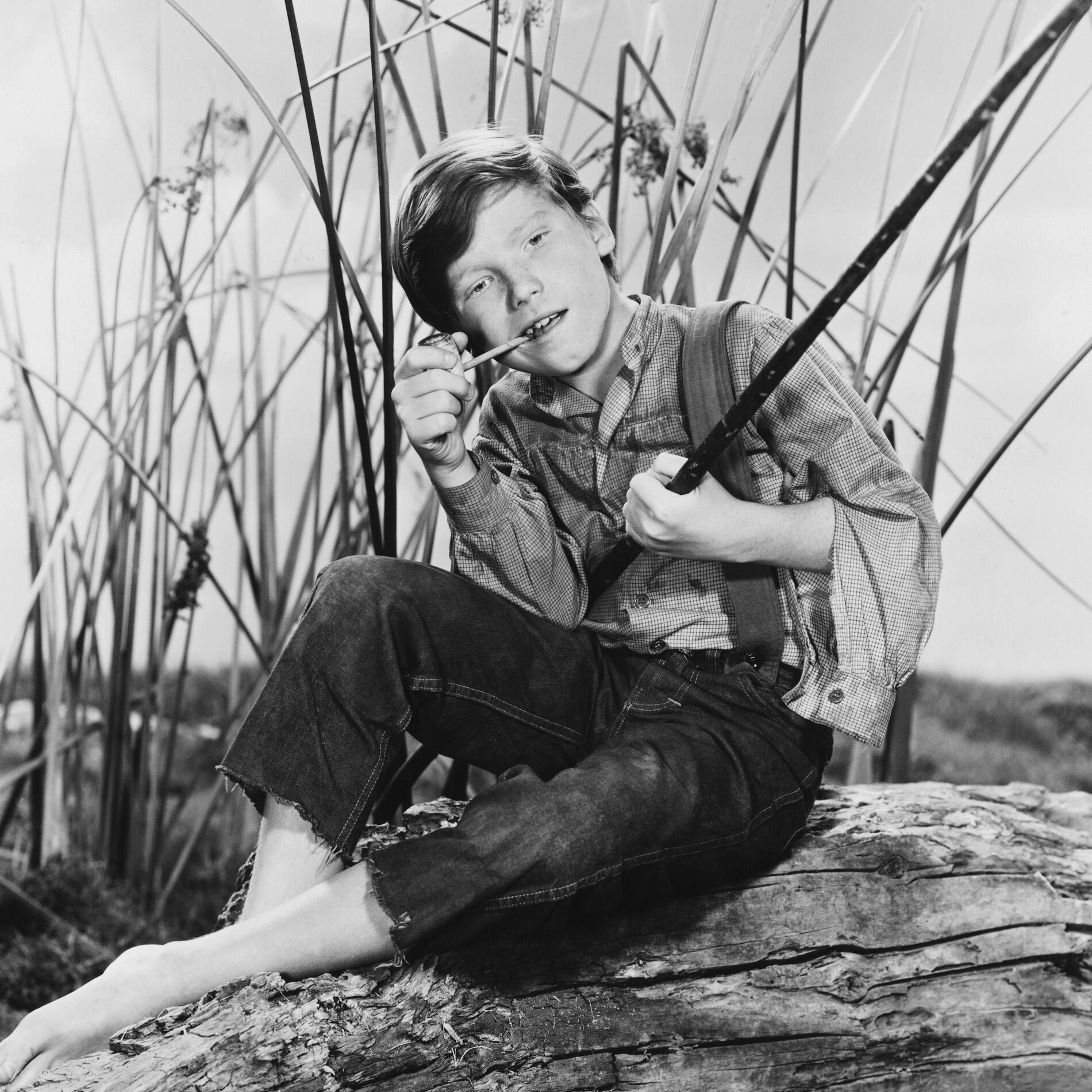 Eddie Hodges