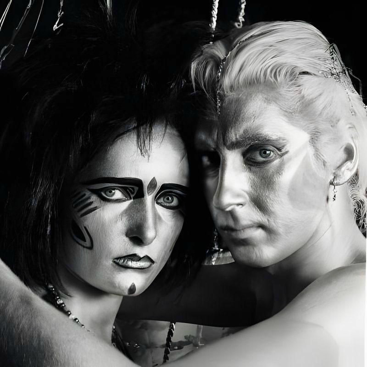 Artist picture of The Creatures