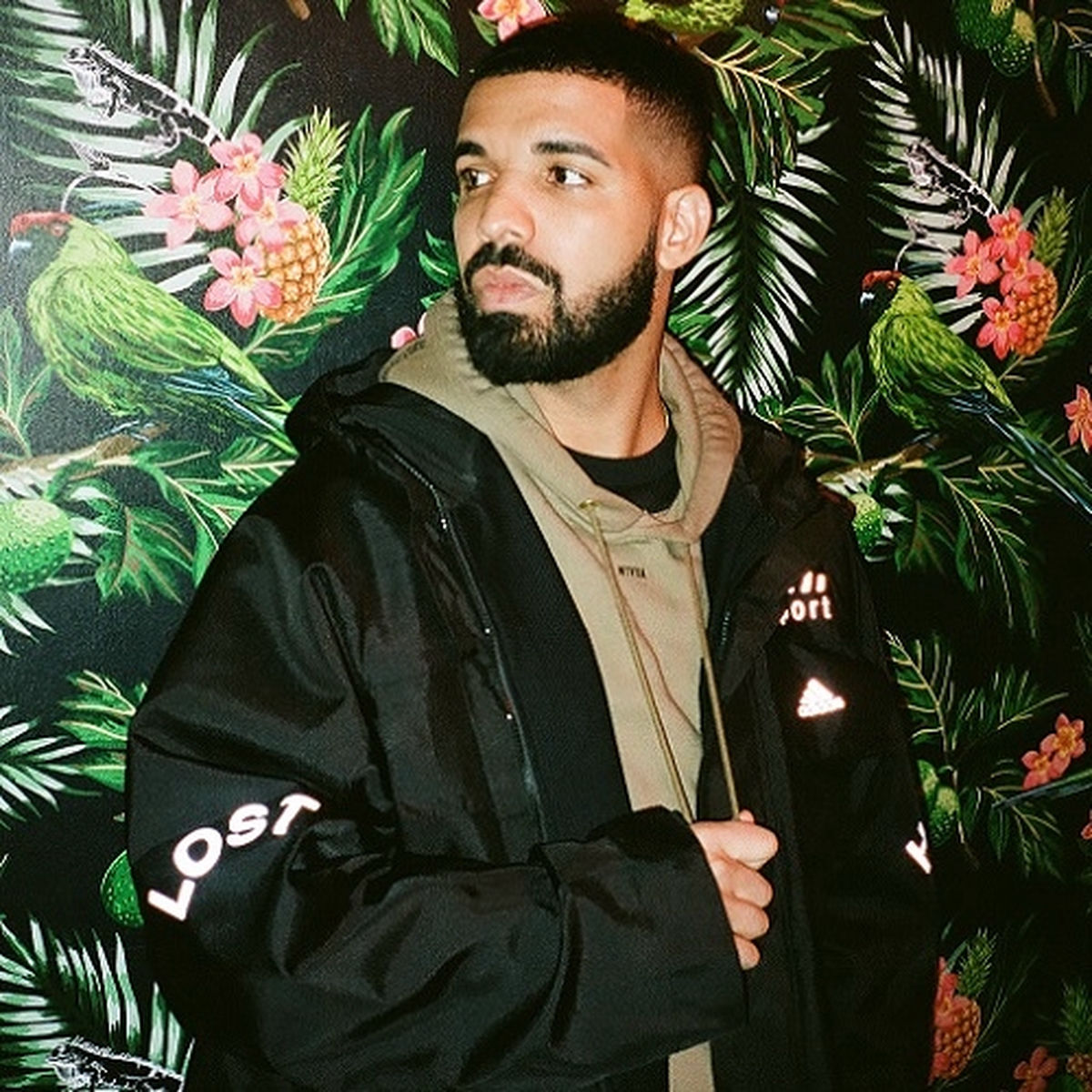 Artist picture of Drake