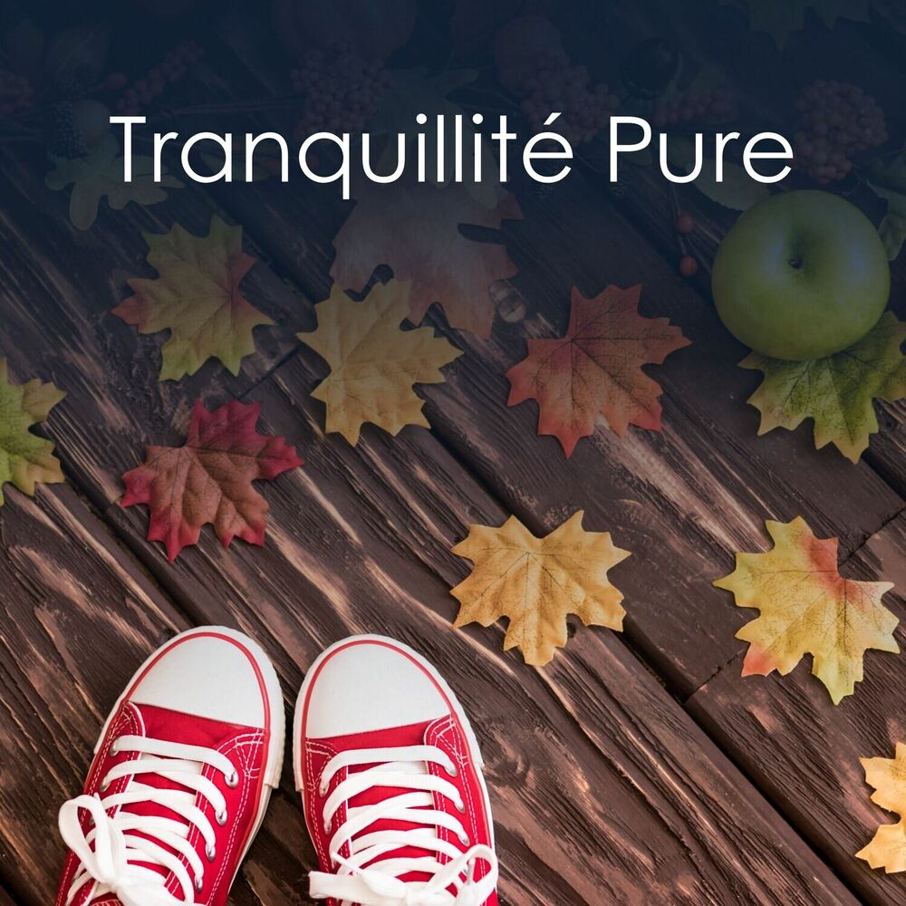 Picture of Musique instrumentale pour dormir