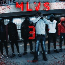 Picture of MLVS