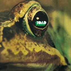 Picture of Toad