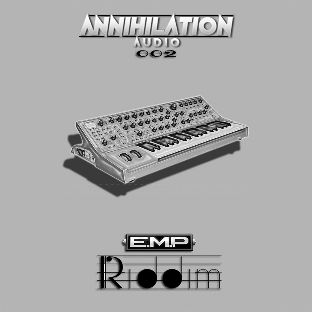 Picture of E.M.P DnB
