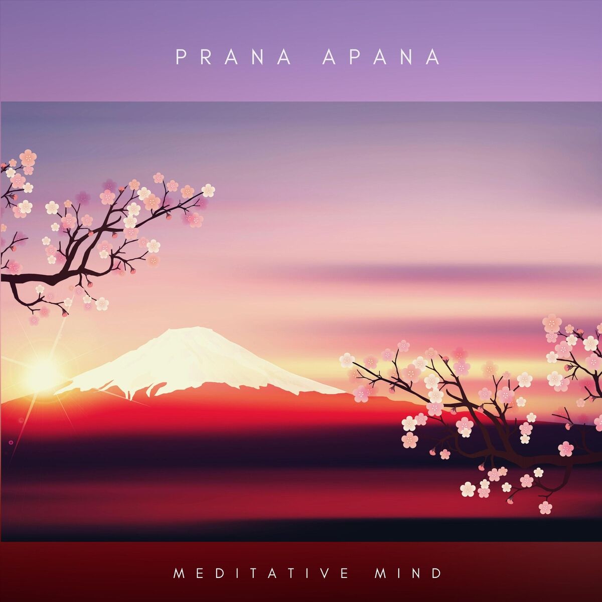 Meditative Mind