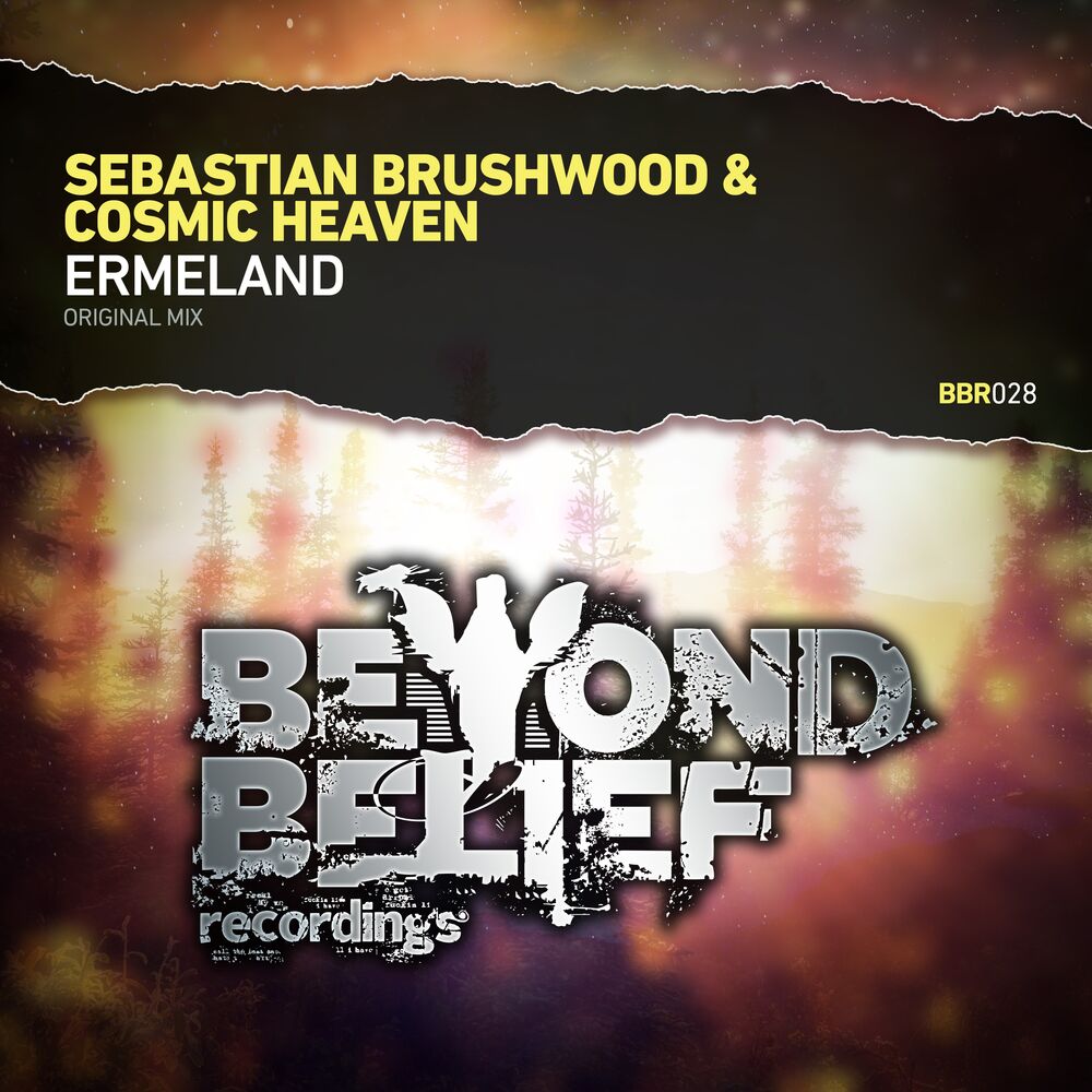 Picture of Sebastian Brushwood