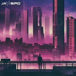 Picture of Jay Bird