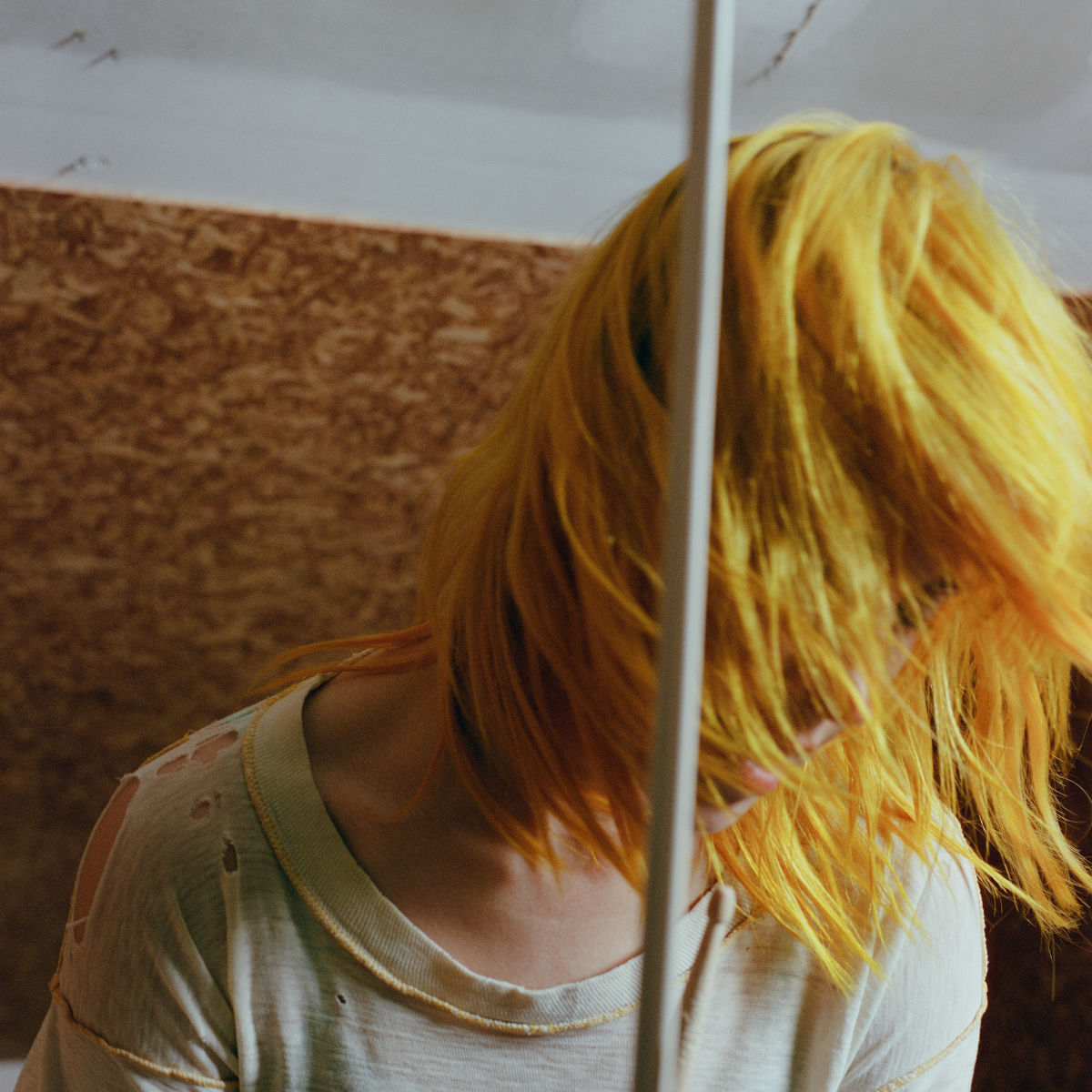 Artist picture of Hayley Williams