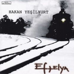 Picture of Hakan Yesilyurt