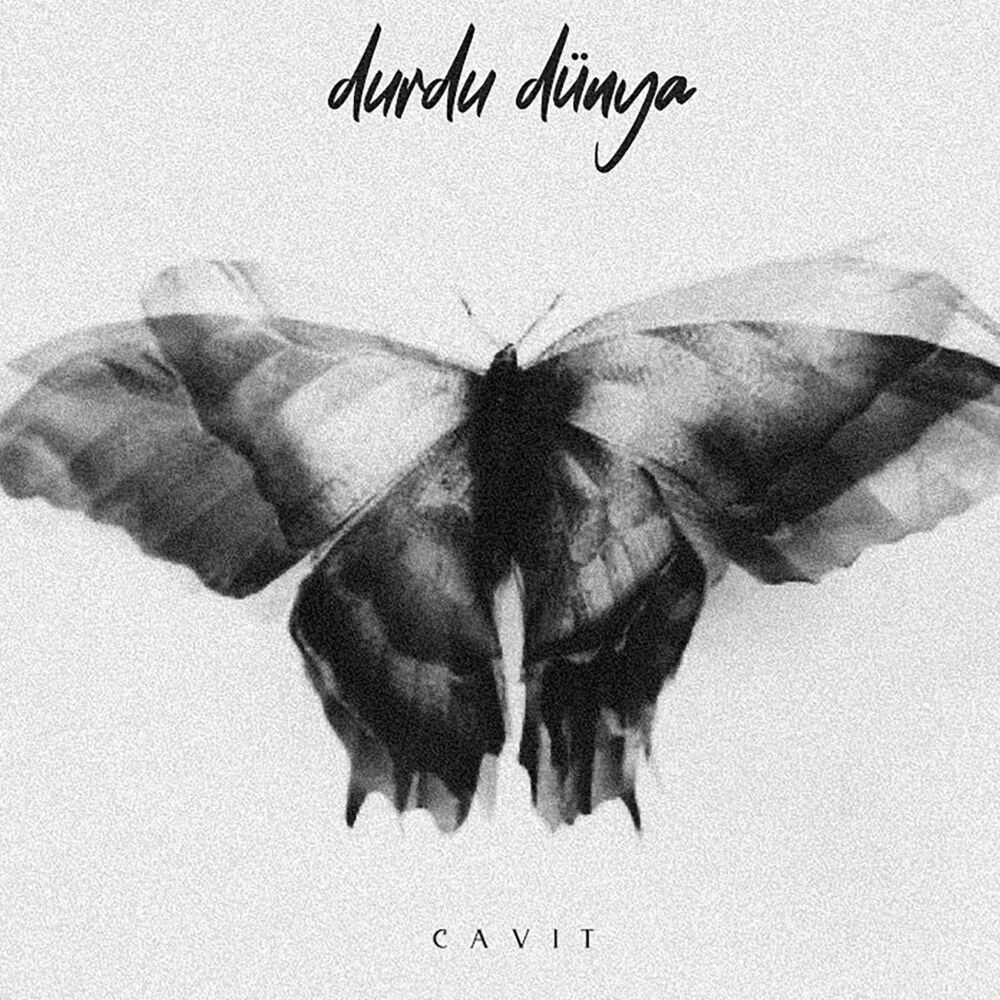 Picture of Cavit