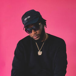 Picture of Dremo