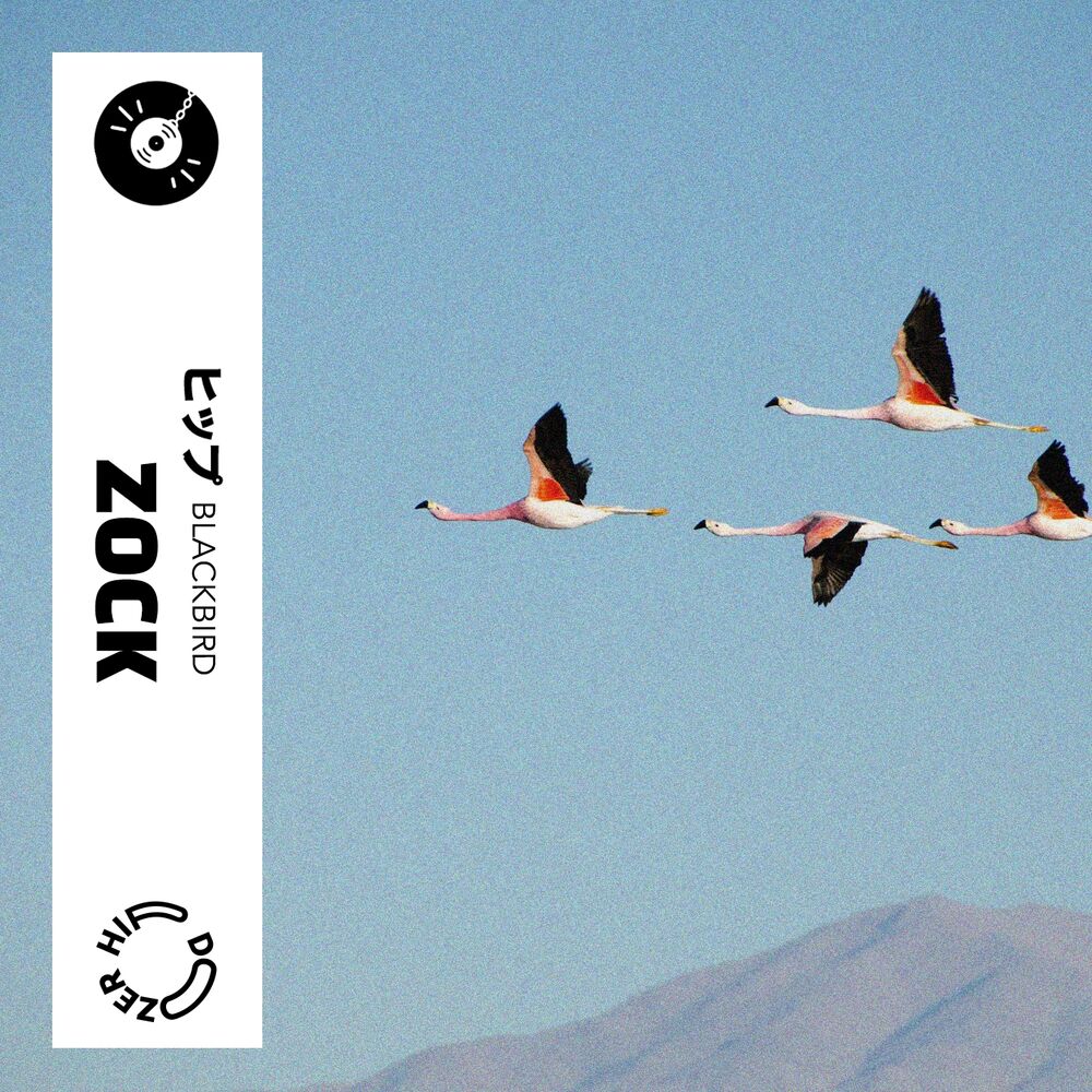 Picture of Zock