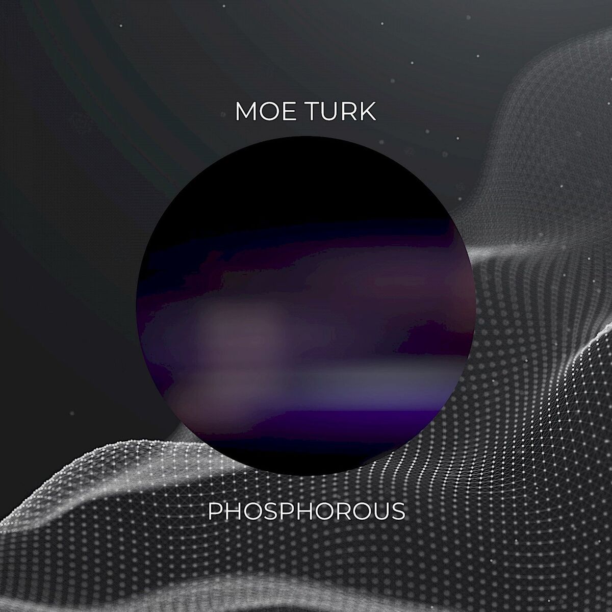 Artist picture of Moe Turk