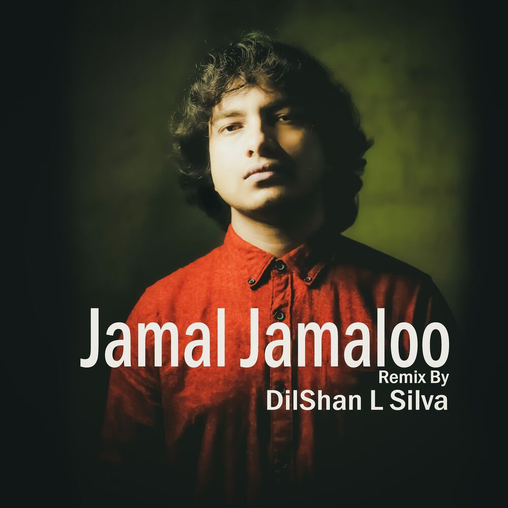 Picture of DilShan L Silva