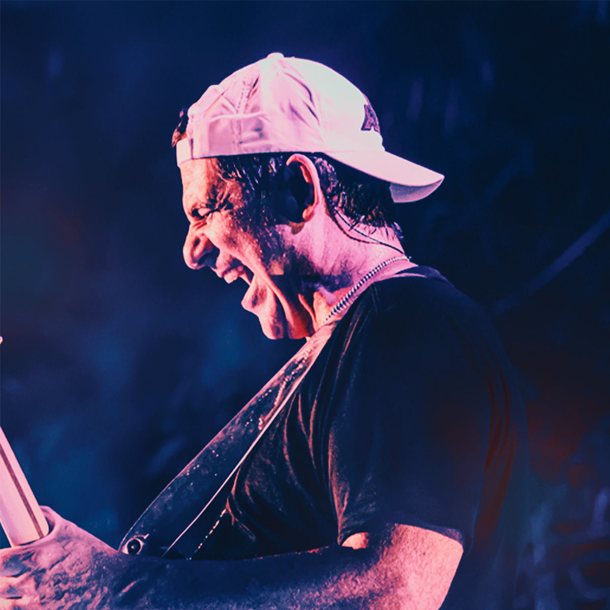 Artist picture of Durval Lelys