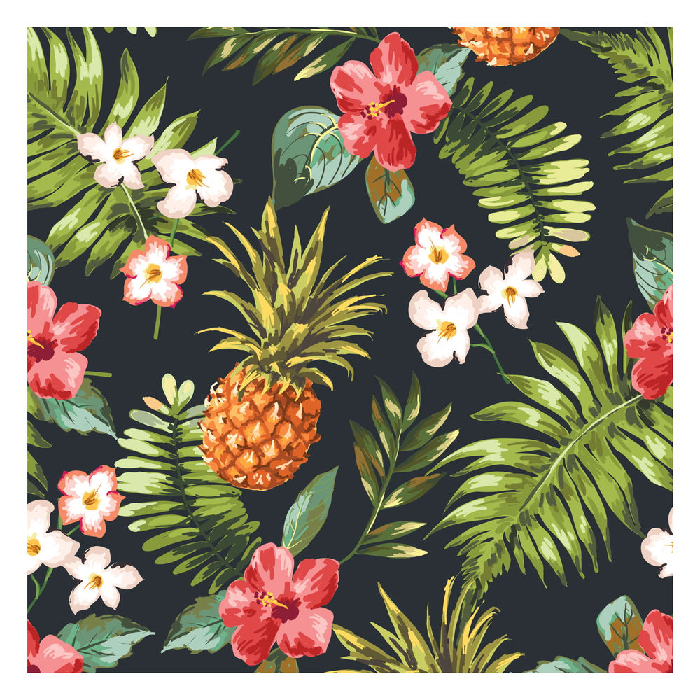 Photo de l'artiste Paraíso