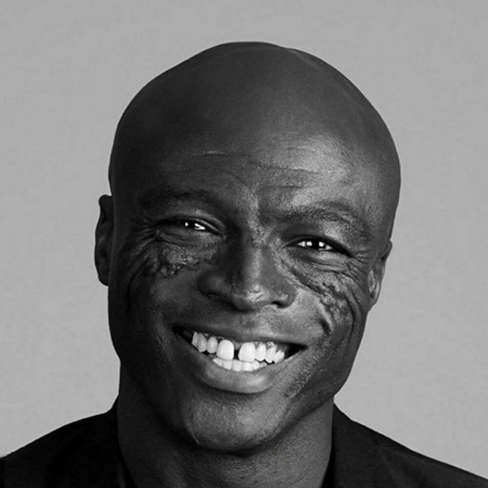 Picture of Seal