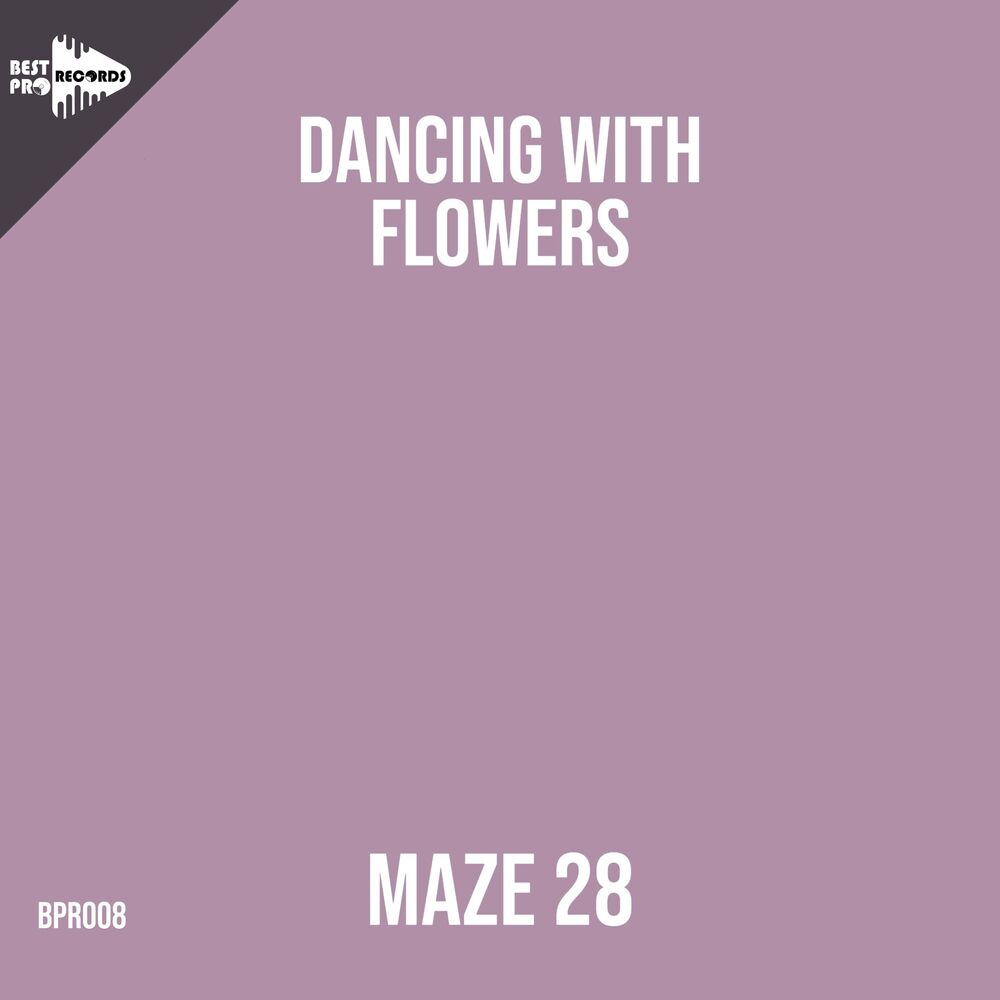 Picture of Maze 28