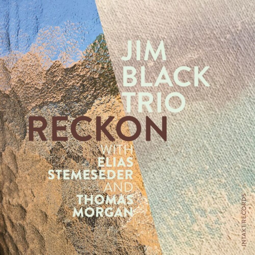 Picture of Jim Black Trio