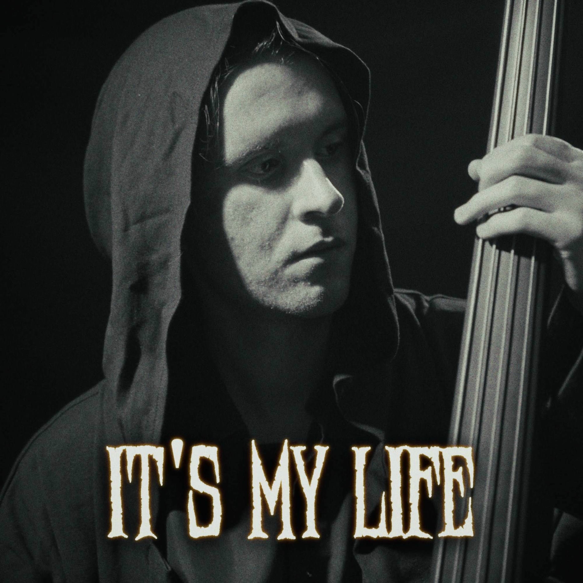 Artist picture of Melodicka Bros