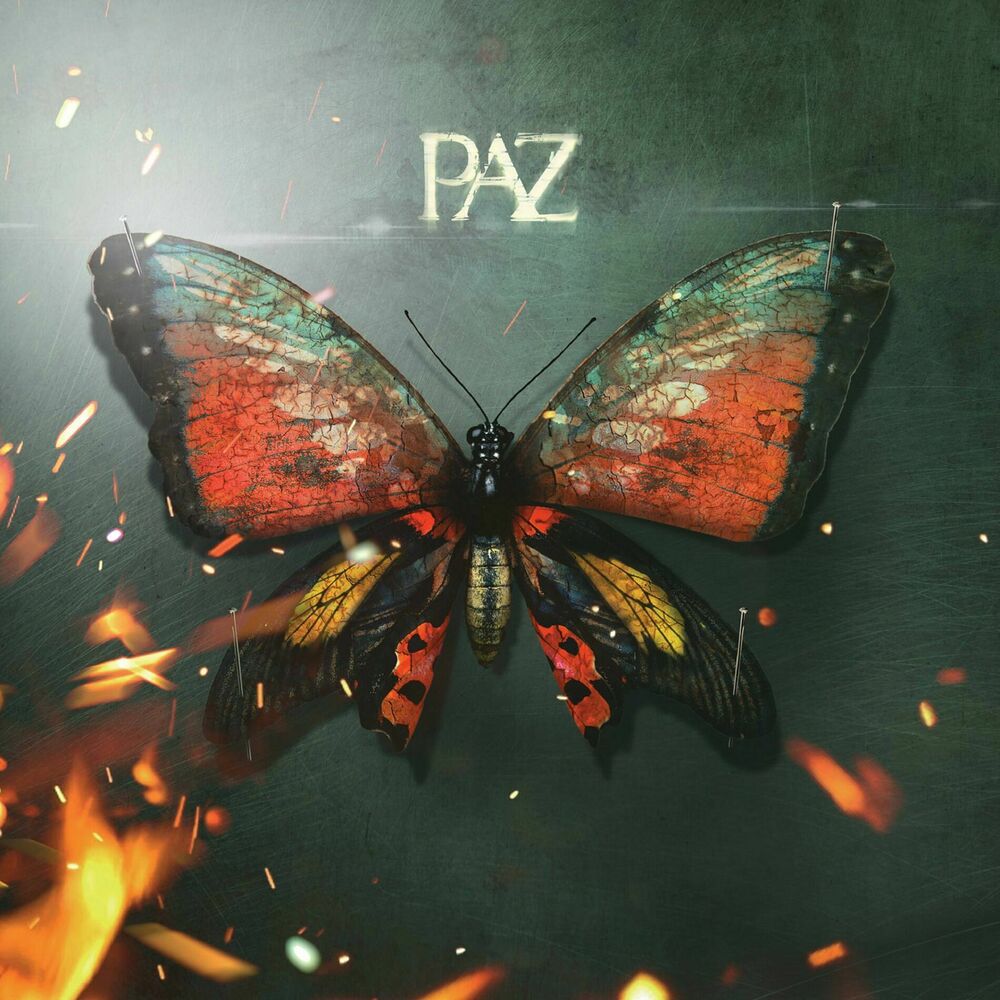 Picture of Paz