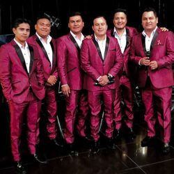 Picture of Orquesta Caribeños de Guadalupe