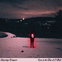 Picture of Antarctigo Vespucci