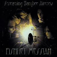 Screaming Banshee Aircrew