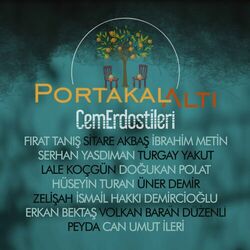 Picture of Cem Erdost İleri