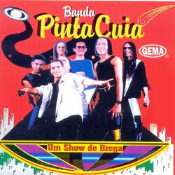 Picture of Banda Pinta Cuia