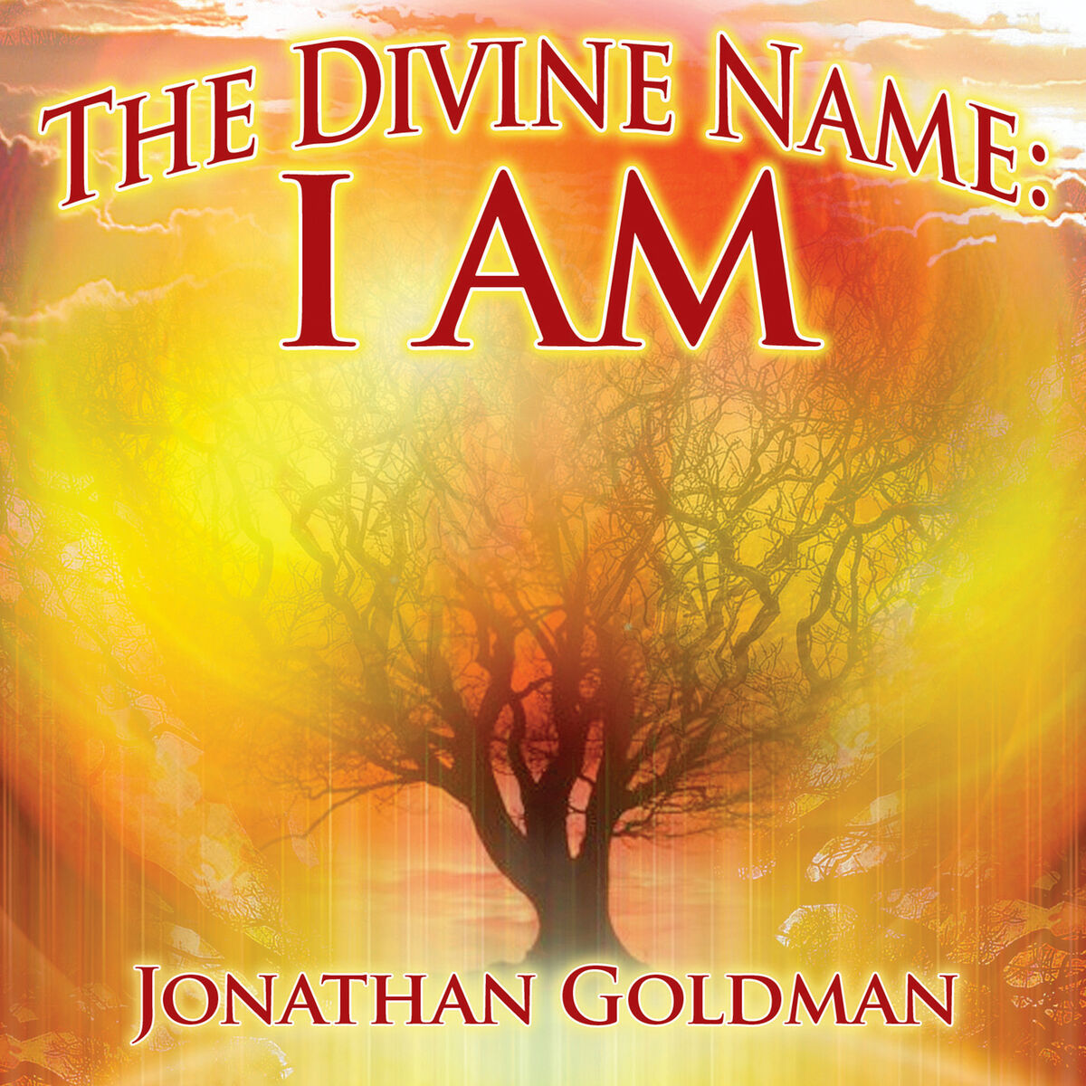Jonathan Goldman