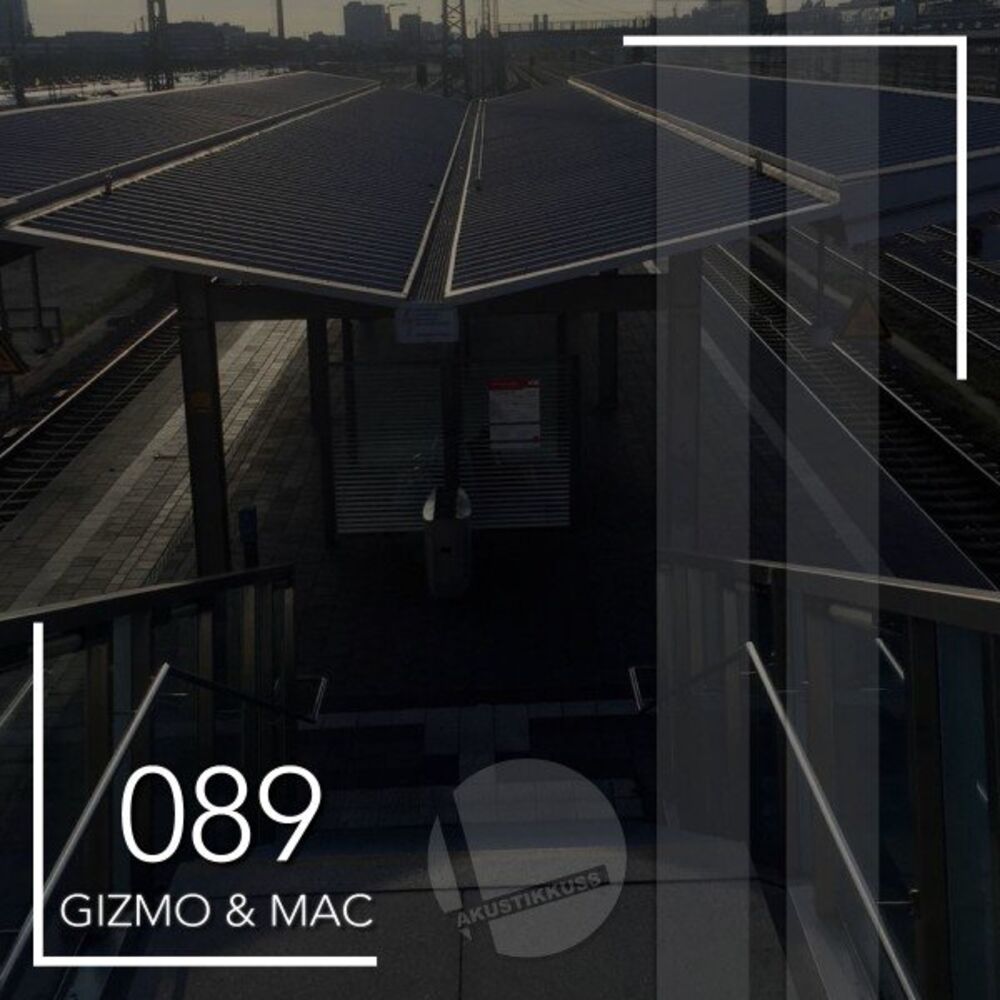 Picture of Gizmo & Mac