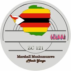 Picture of Marshall munhumumwe