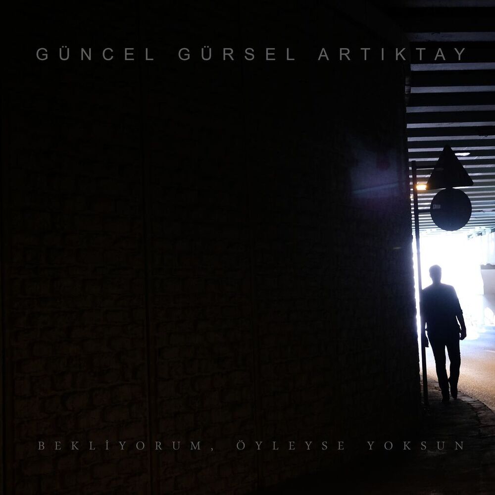 Picture of Güncel Gürsel Artiktay