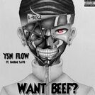 YSN Flow