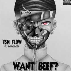 Picture of YSN Flow