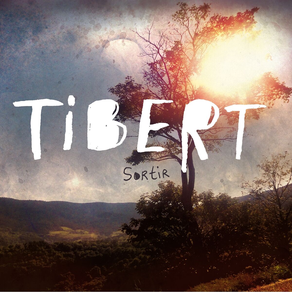 Artist picture of Tibert