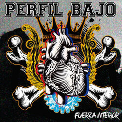 Picture of Perfil Bajo