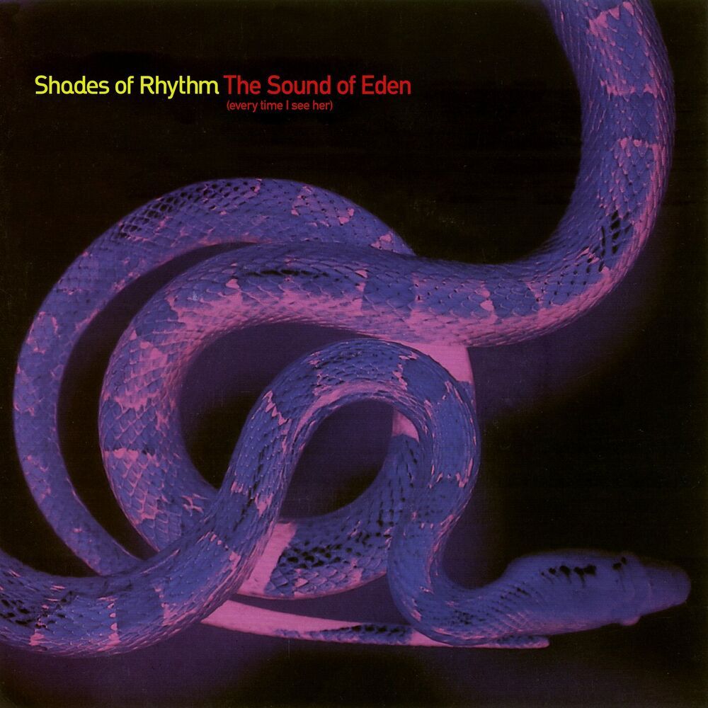 Picture of Shades Of Rhythm