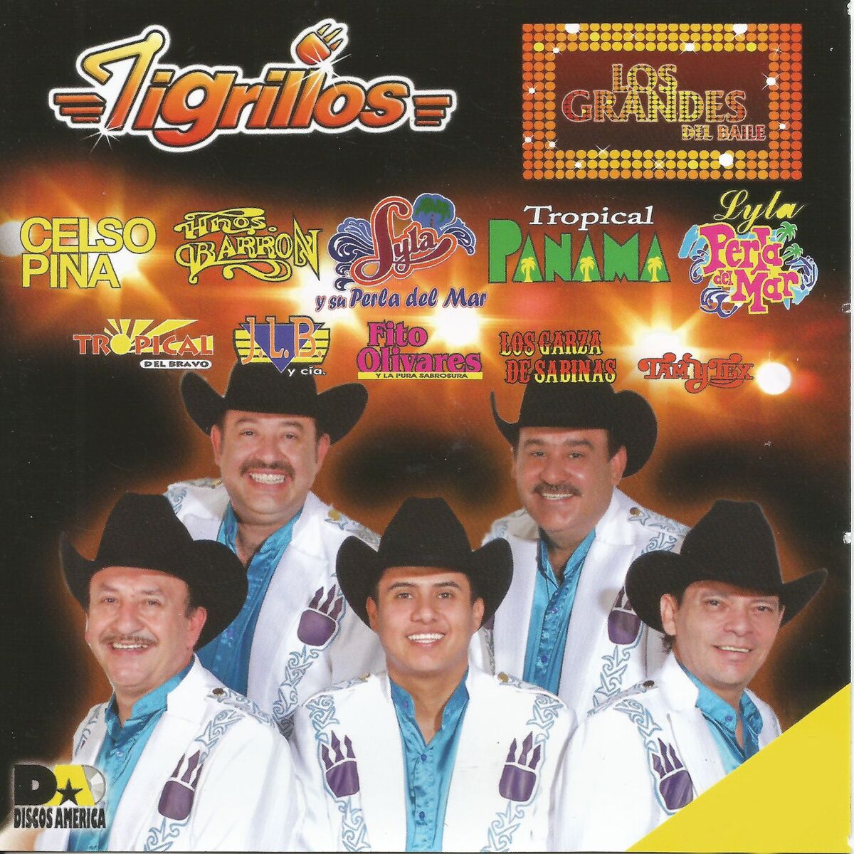 Tigrillos