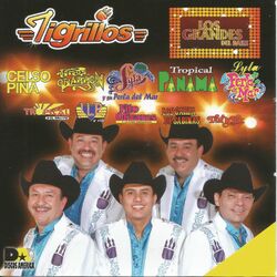 Picture of Tigrillos