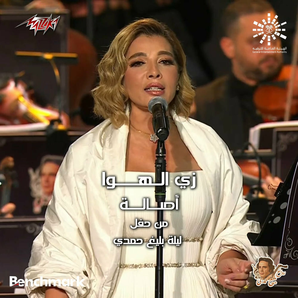 Photo de l'artiste Assala Nasri