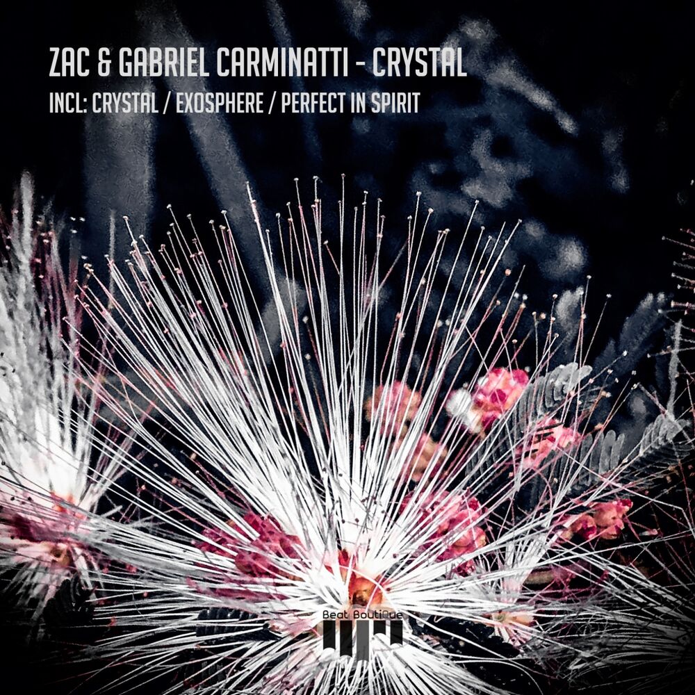 Picture of Gabriel Carminatti