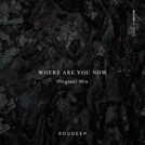Roudeep
