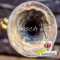 Picture of Blaskapelle Gehörsturz
