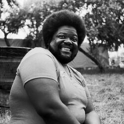 Picture of Buddy Miles