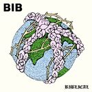 BIB