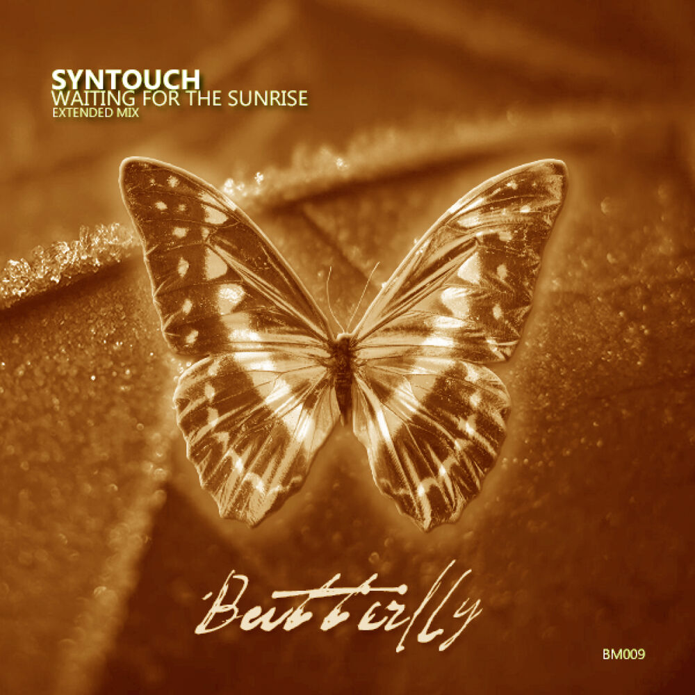 Picture of Syntouch