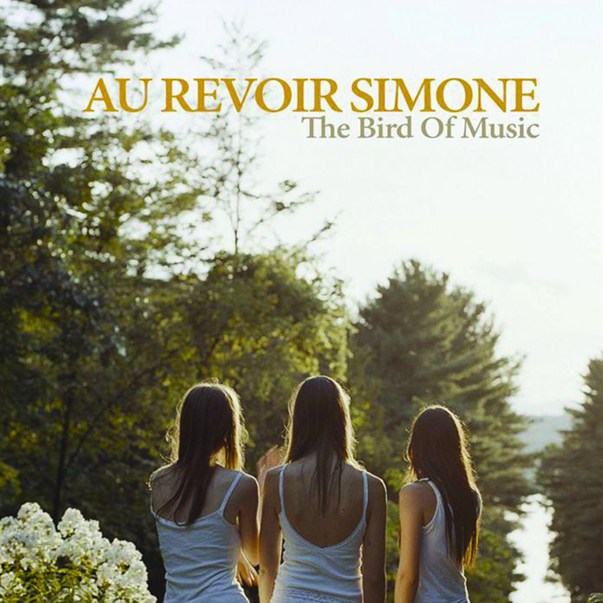 Au Revoir Simone